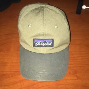 Patagonia Dad hat